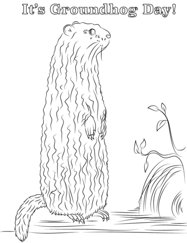 It'S Groundhog Day! Coloring Page